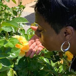 Meet your Posher, Linda